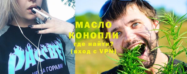мдпв Бородино