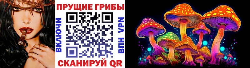 KRAKEN маркетплейс  Грязи  Галлюциногенные грибы Psilocybine cubensis 